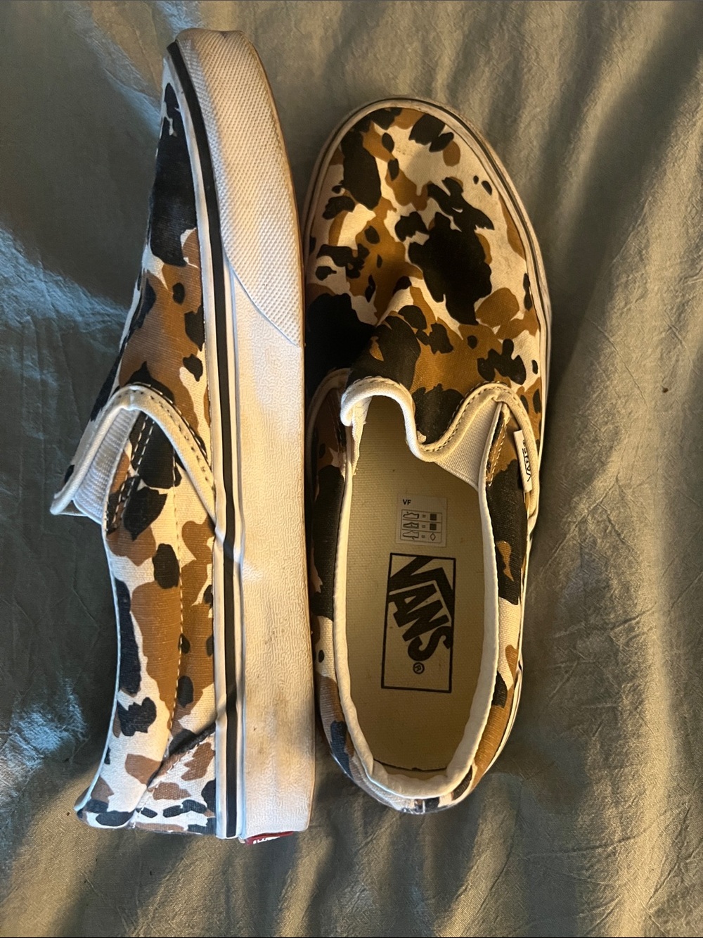 Printed vans - Picture 6 of 6